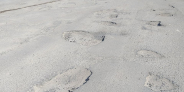 Народний депутат з Тернопільщини розповів, чому дороги області з настанням весни опинилися в жахливому стані