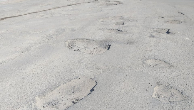 Народний депутат з Тернопільщини розповів, чому дороги області з настанням весни опинилися в жахливому стані