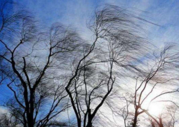 На Тернопільщині очікується ожеледиця та сильні пориви вітру