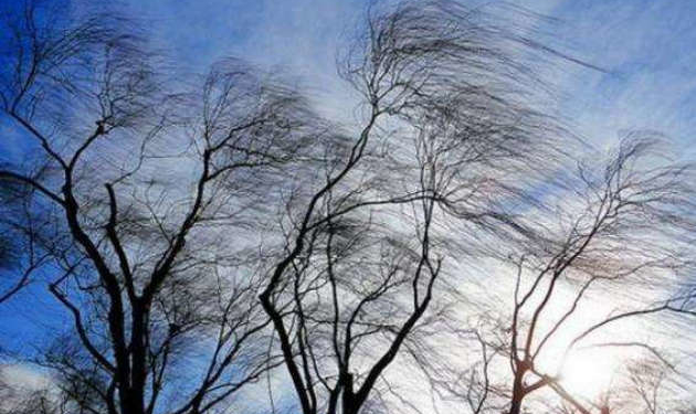 На Тернопільщині очікується ожеледиця та сильні пориви вітру