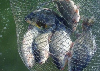 На Тернопільщині триває спецоперація “Нерест”