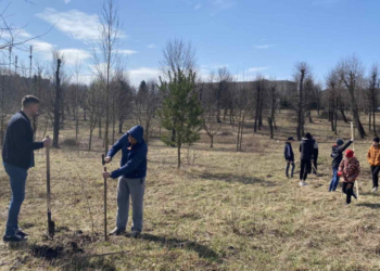 На Тернопільщині священники “посадили дерева миру”