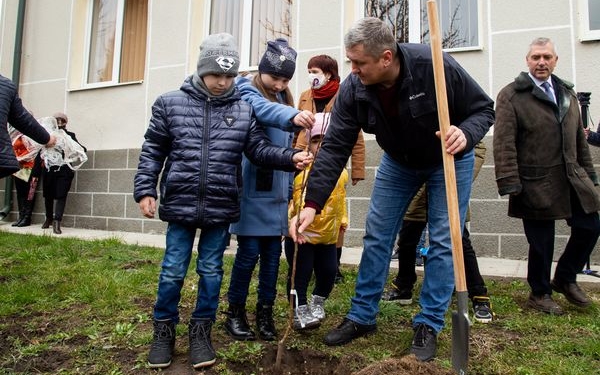 На Тернопільщині висадили саджанці Лесиної груші