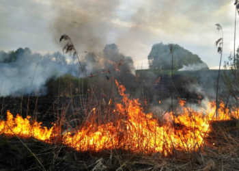 Сезон розпочато: рятувальники попереджають тернополян, що спалювати суху траву небезпечно