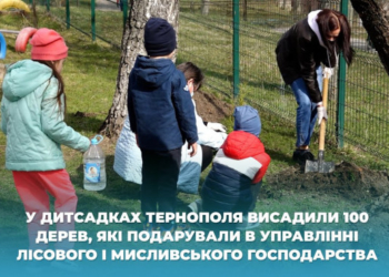 У дитсадках Тернополя висадили 100 дерев від управління лісового і мисливського господарства