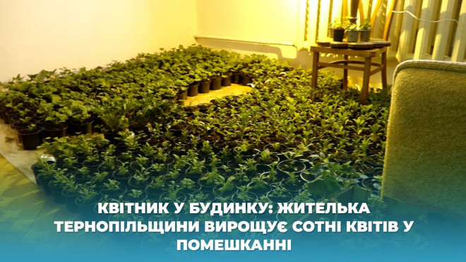 Жителька Тернопільщини вирощує сотні квітів у помешканні (Відео)