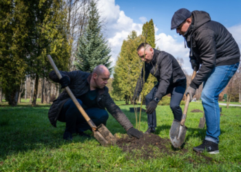У тернопільських парках висадили більше 200 молодих саджанців дерев та кущів