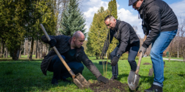 У тернопільських парках висадили більше 200 молодих саджанців дерев та кущів