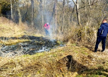 Жителів Тернопільщини просять не палити суху рослинність