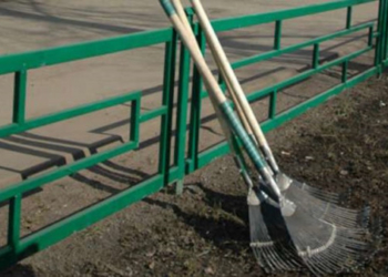 У Тернополі триває двомісячник благоустрою: що уже зроблено?