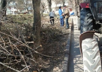 Безпечне місто: у Тернополі триває обрізка дерев