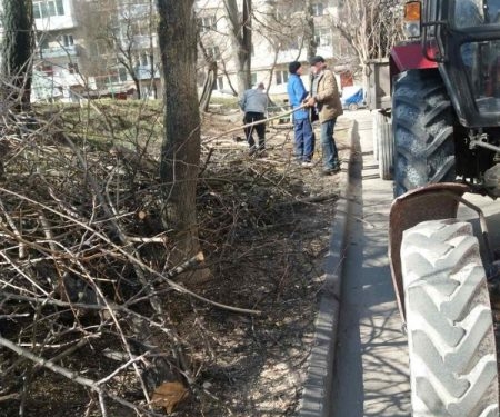 Безпечне місто: у Тернополі триває обрізка дерев