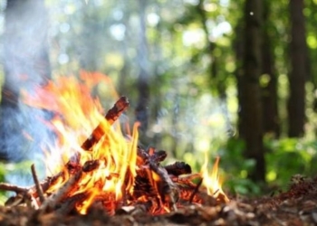 Пожежонебезпечний сезон: на Тернопільщині триває патрулювання лісових масивів