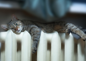 У Тернополі завершився опалювальний сезон