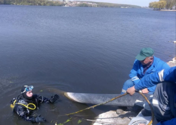 У Тернополі працюють над відновленням аераційних фонтанів