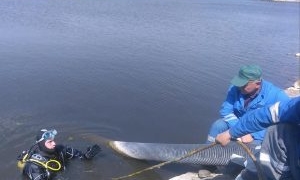 У Тернополі відновлюють найдовший фонтан країни