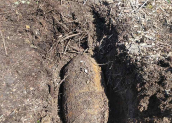 На Тернопільщині виявили авіабомбу