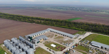 День поля у «Контінентал Фармерз Груп»: ділилися досвідом та запрошували до партнерства