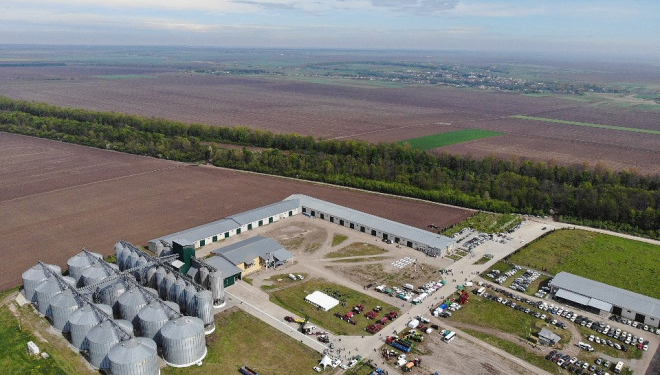 День поля у «Контінентал Фармерз Груп»: ділилися досвідом та запрошували до партнерства