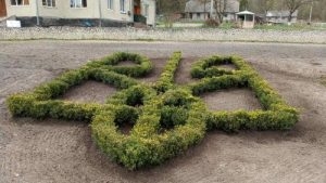 У лісництві на Тернопільщині висадили дерева у формі тризуба (Фото)