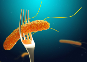 Небезпечна їжа: на Тернопільщину завезли заражене сальмонелою м’ясо птиці