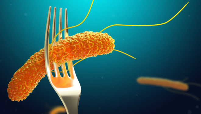 Небезпечна їжа: на Тернопільщину завезли заражене сальмонелою м’ясо птиці