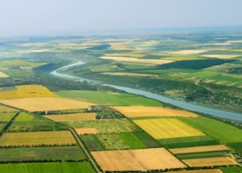 77% українців підтримують проведення «земельного» референдуму, 75% – планують взяти у ньому участь, – опитування «Рейтингу»