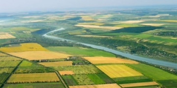 77% українців підтримують проведення «земельного» референдуму, 75% – планують взяти у ньому участь, – опитування «Рейтингу»