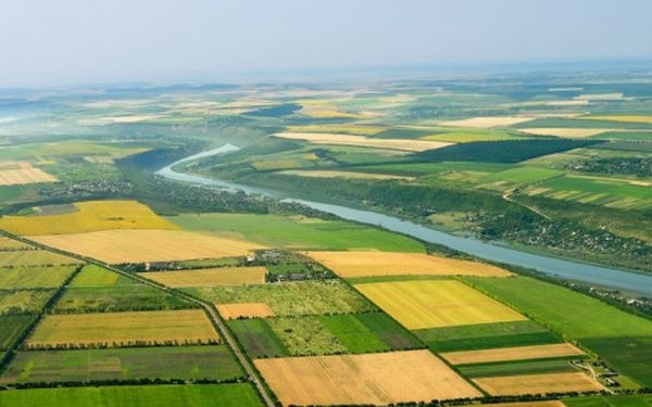 77% українців підтримують проведення «земельного» референдуму, 75% – планують взяти у ньому участь, – опитування «Рейтингу»