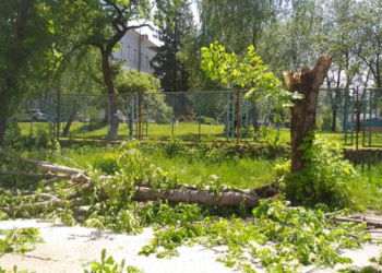 У Тернополі сильний вітер наробив лиха власникам автомобілів (Відео)