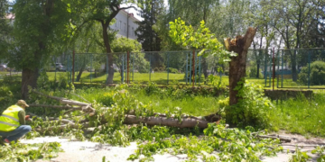 У Тернополі сильний вітер наробив лиха власникам автомобілів (Відео)