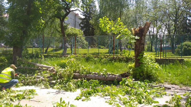 У Тернополі сильний вітер наробив лиха власникам автомобілів (Відео)