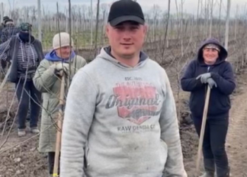 Фермерське господарство «ГАДЗ» цього року висадить 250 тисяч дерев нового саду