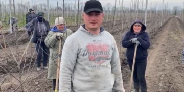 Фермерське господарство «ГАДЗ» цього року висадить 250 тисяч дерев нового саду