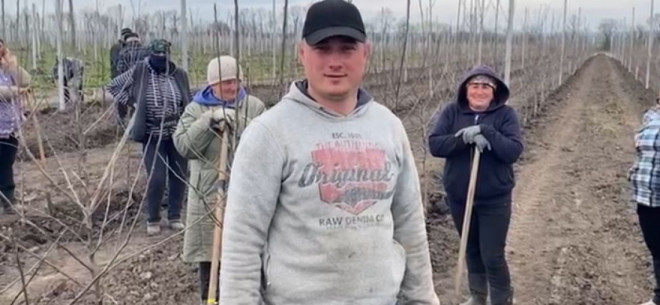 Фермерське господарство «ГАДЗ» цього року висадить 250 тисяч дерев нового саду