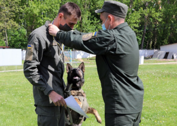На Тернопільщині пройшли змагання кінологів