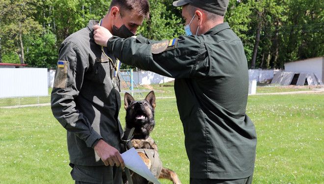 На Тернопільщині пройшли змагання кінологів