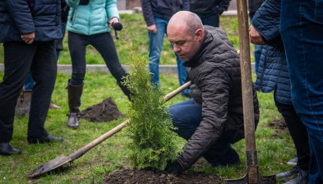 Тернопіль нарощує свої «зелені легені»