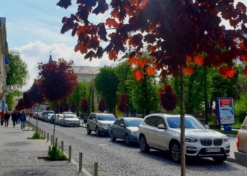 У Тернополі триває озеленення міста