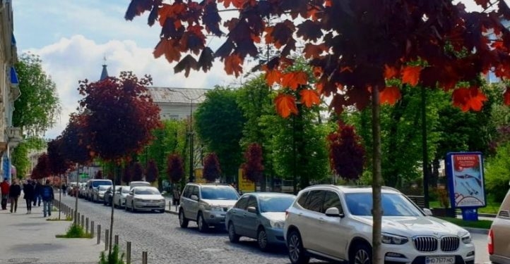 У Тернополі триває озеленення міста