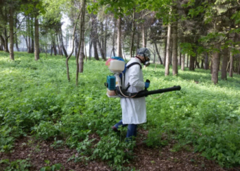 Наступного тижня у Тернополі розпочнуть проводити акарицидні заходи