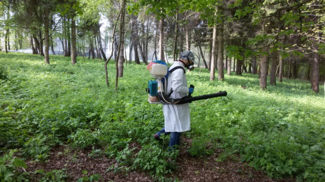 Наступного тижня у Тернополі розпочнуть проводити акарицидні заходи