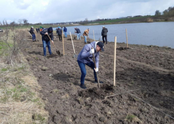Козівська громада матиме свою «Алею майбутнього»