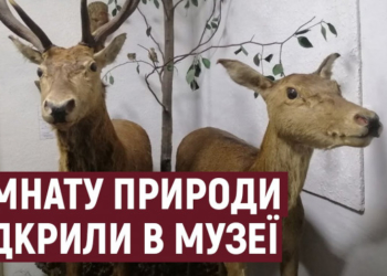 На Тернопільщині відкрили кімнату природи в краєзнавчому музеї