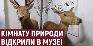 На Тернопільщині відкрили кімнату природи в краєзнавчому музеї