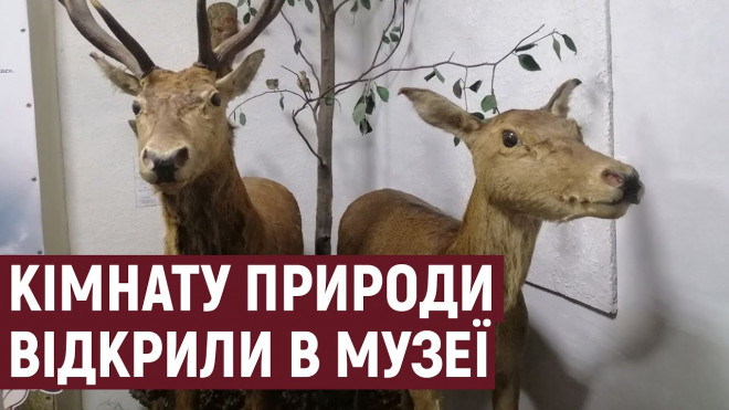 На Тернопільщині відкрили кімнату природи в краєзнавчому музеї