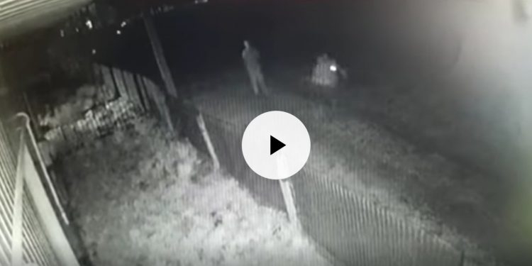 Напад на будинок атовця з Тернопільщини: з’явилося відео переслідування Андрія Пекельного нападниками (Відео)