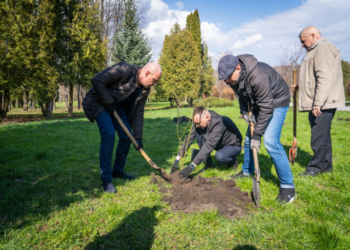 У Тернополі висадили близько 200 нових саджанців