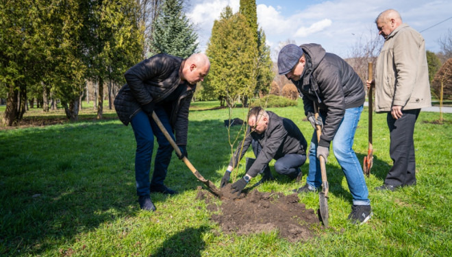 У Тернополі висадили близько 200 нових саджанців