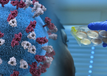 Позитивна статистика: на Тернопільщині вдвічі зменшилося ковідних хворих